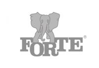 FORTE